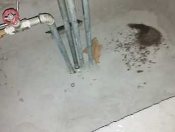 三穗卫生间测漏水价格明细